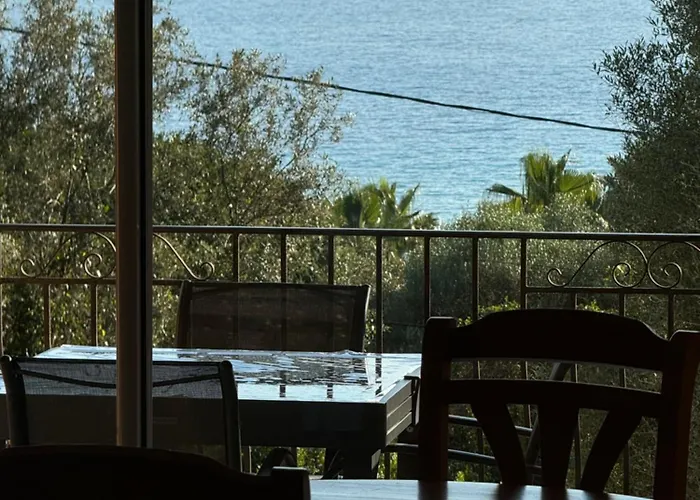 Arbutu Olmeto (Corsica)